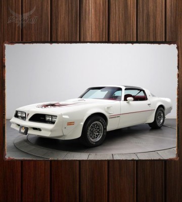 Металлическая табличка Pontiac Firebird Trans Am T A 6.6 RPO W72 Hurst T-Top